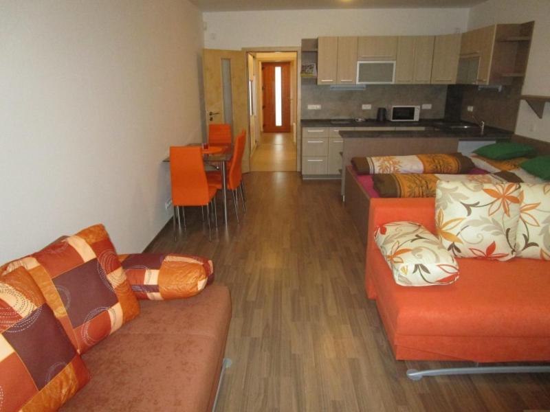 Apartman Ricky V Orlickych Horach Wüstenei Exteriör bild