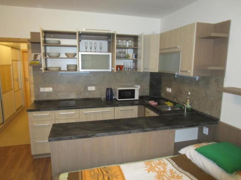 Apartman Ricky V Orlickych Horach Wüstenei Exteriör bild